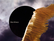 Wax Wings